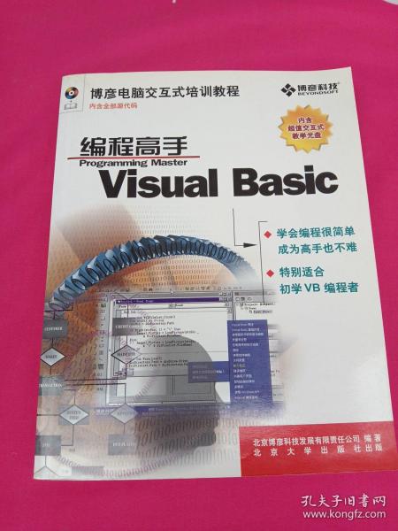 Visual Basic编程高手