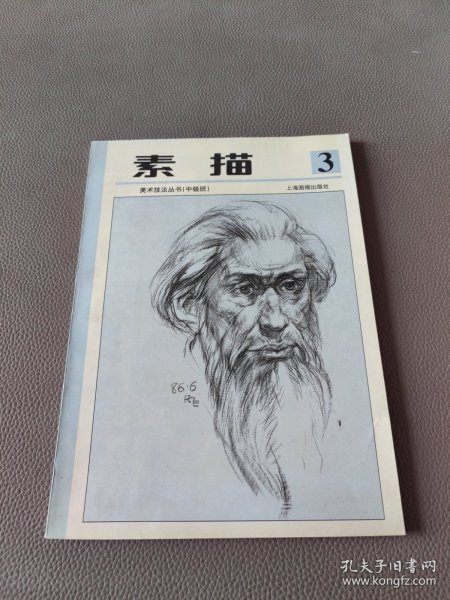 少年儿童美术技法丛书  素描第三册