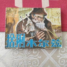猞猁木尔兹