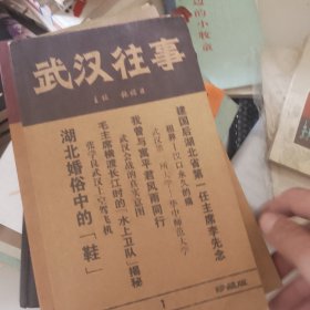 往事系列丛书 东北往事 齐鲁往事 上海往事 西南往事 武汉往事