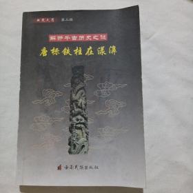 解开千古历史之谜一唐标铁柱在漾濞