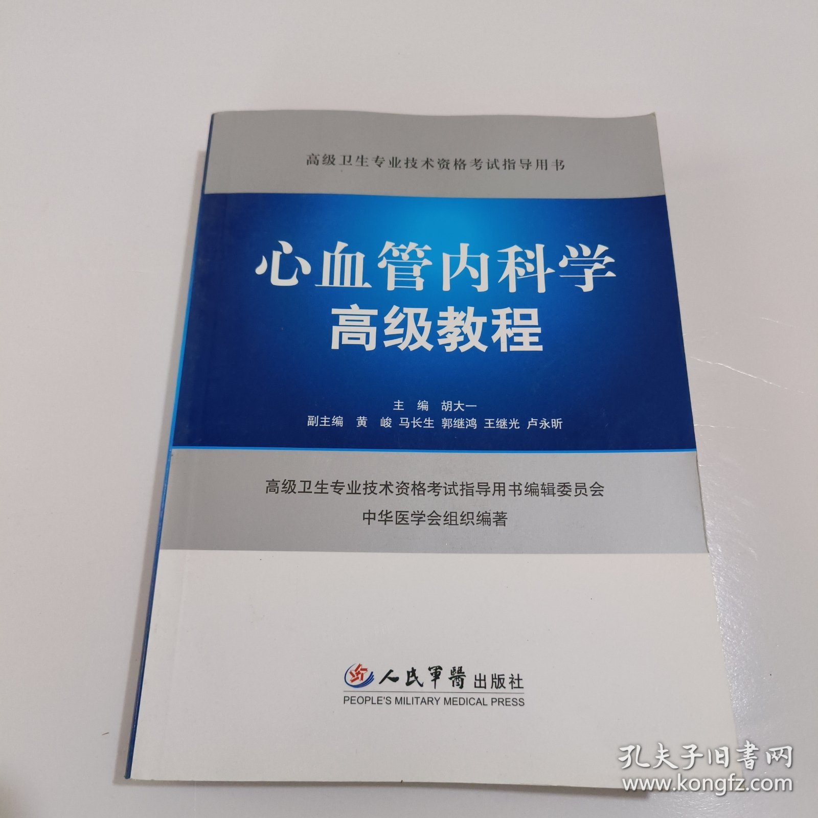 高级卫生专业技术资格考试指导用书：心血管内科学高级教程《附光盘》