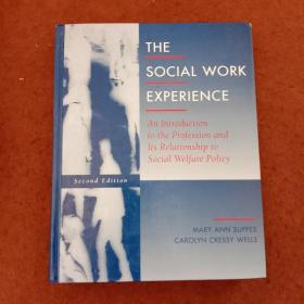 THE,SOCIAL,WORK,EXPERIENCE