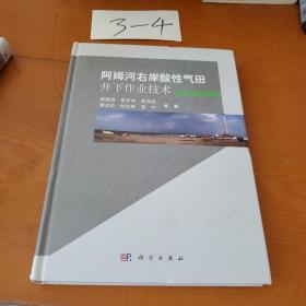 阿姆河右岸酸性气田井下作业技术