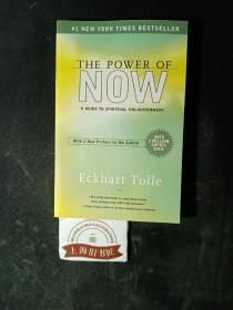 THE POWER OF NOW:A GUIDE TO SPIRITUAL ENLIGHTENMENT