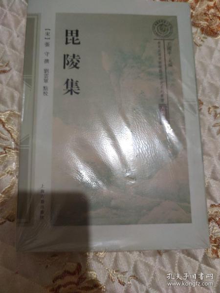 毘陵集(南宋及南宋都城临安研究系列丛书)，一版一印带封膜