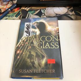 Falcon In The Glass