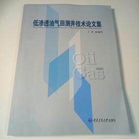 低渗透油气田测井技术论文集