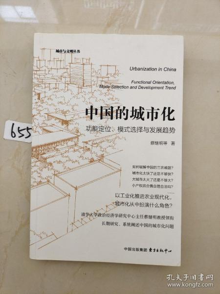 中国的城市化：功能定位、模式选择与发展趋势
