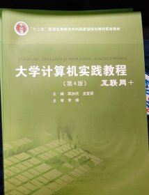 大学计算机实践教程 : 互联网+