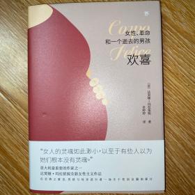 欢喜：女性、革命和一个逝去的男孩（诺贝尔文学奖热门提名作家女性主义作品）