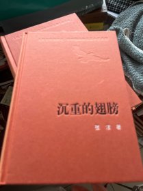 新中国60年长篇小说典藏：沉重的翅膀