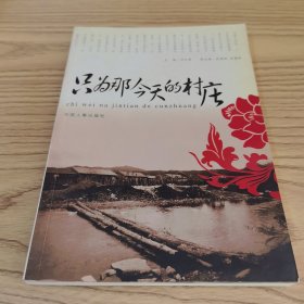 只为那今天的村庄
