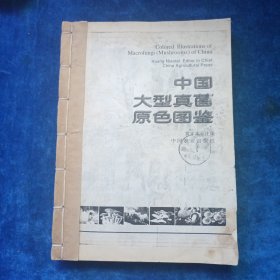 中国大型真菌原色图鉴 珍藏版（可能是原件复制）