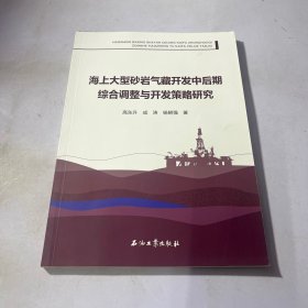 海上大型砂岩气藏开发中后期综合调整与开发策略研究