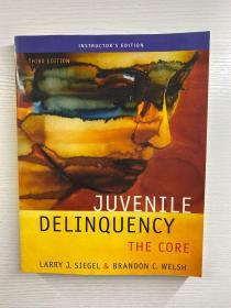 Juvenile Delinquency the Core（Third Edition）青少年犯罪的核心（第三版） 2008年英文版（16开）正版如图、内页干净）