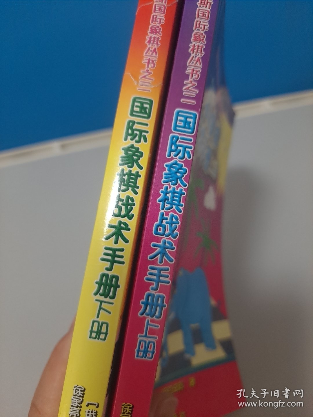 俄罗斯国际象棋丛书之2：国际象棋战术手册（上册）