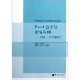 Excel会计与财务管理