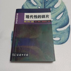 现代性的碎片：齐美尔、克拉考尔和本雅明作品中的现代性理论