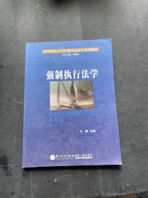 中国政法大学民事诉讼法学系列教材：强制执行法学