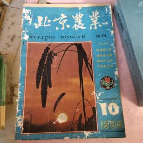 北京農(nóng)業(yè)雜志1986