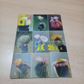 植物杂志1980-6