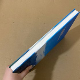 广西大瑶山地区多期次岩浆活动及成矿作用
