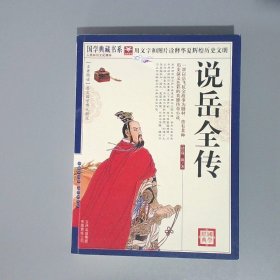 青花典藏：说岳全传珍藏版