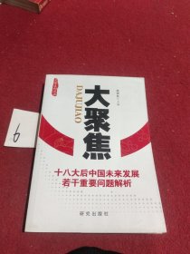 大聚焦 : 十八大后中国未来发展若干重要问题解析