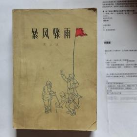 暴风骤雨