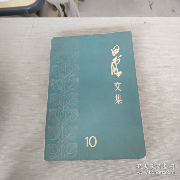 田汉文集 10