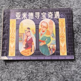 亚米德寻宝奇遇