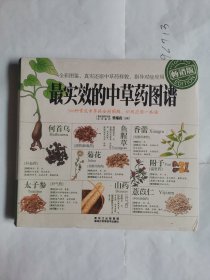 最实效的中草药图谱