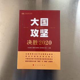 大国攻坚：决胜2020（中央党校（国家行政学院）智库系列丛书）