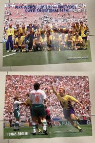 足球海报-1994世界杯季军瑞典队