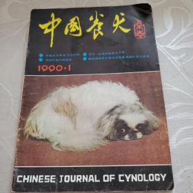 中国养犬