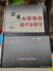 实用心脏疾病超声诊断学