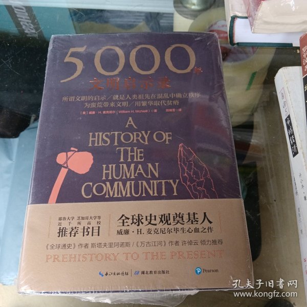 5000年文明启示录（比肩《全球通史》，世界近千所高校历史学推荐书目）