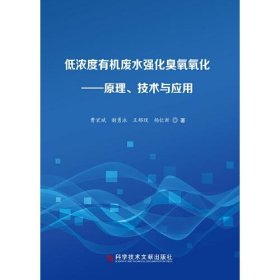 低浓度有机废水强化臭氧氧化——原理、技术与应用