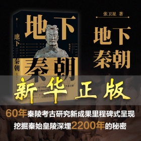 地下秦朝 张卫星 9787532965571 山东文艺出版社