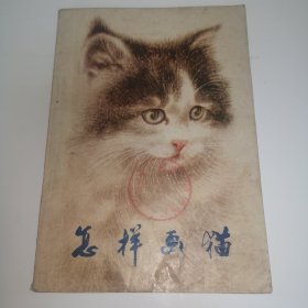 怎样画猫