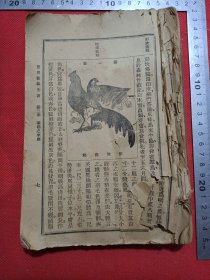 民国实用养鸡全书有残。