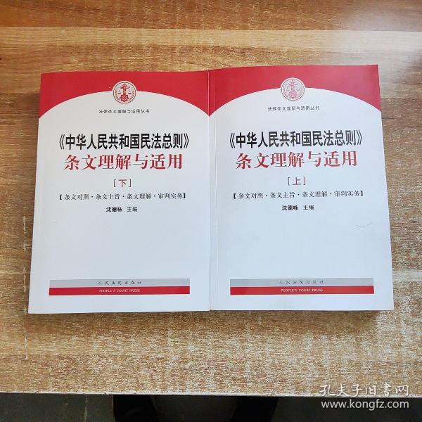 中华人民共和国民法总则 条文理解与适用（套装上下册）