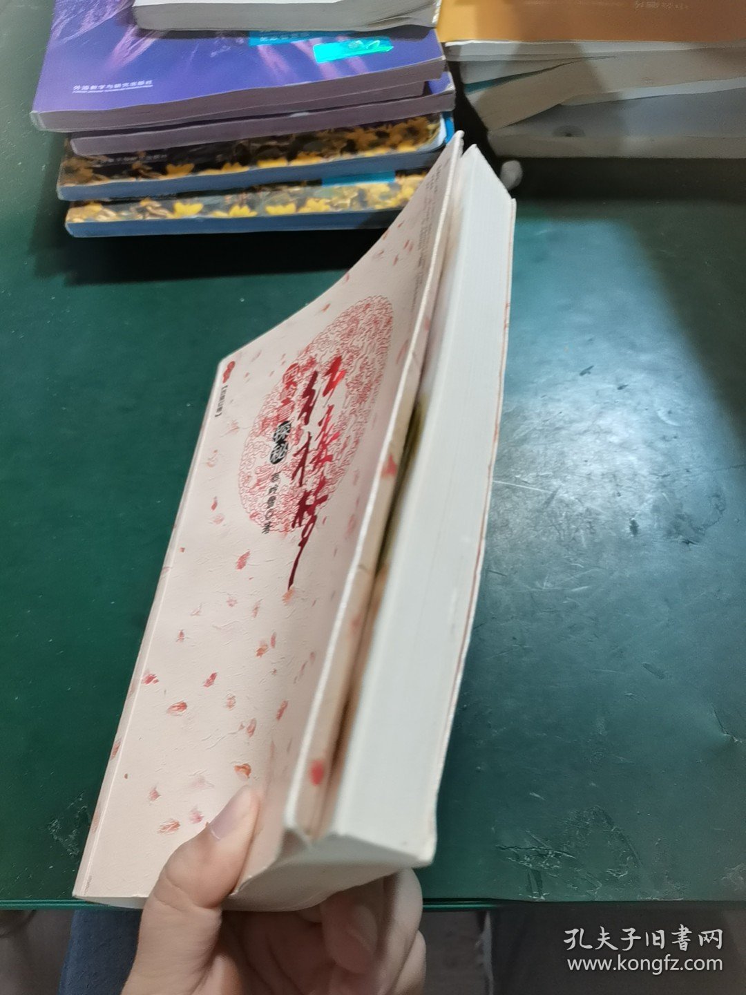 西岭雪探秘红楼梦