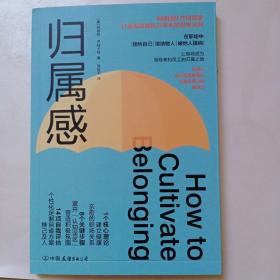 归属感：构建团队共同愿景、打造高效能执行体系的思维法则