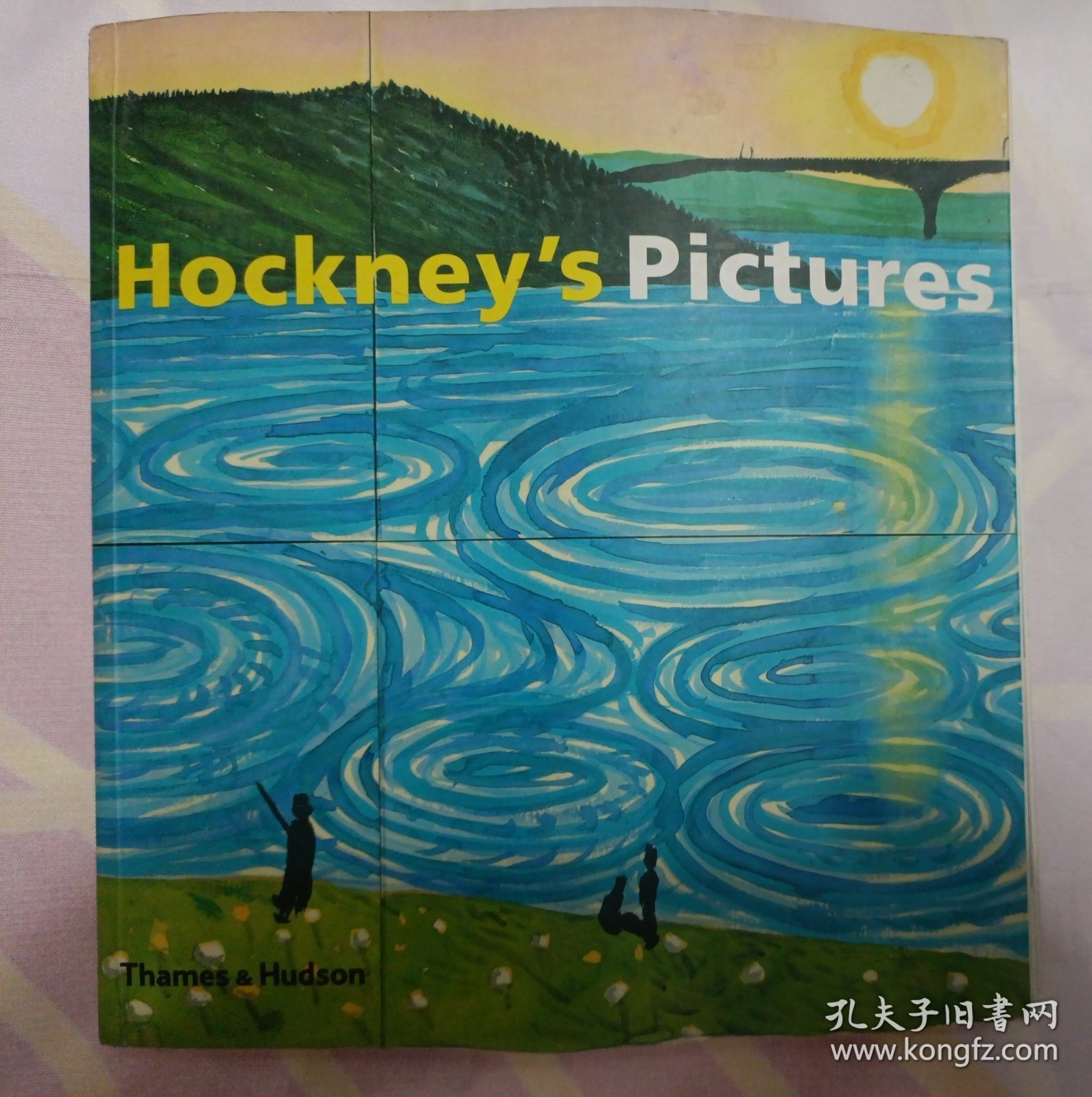 Hockney's Pictures（145—176页书脊有脱胶。请谨慎下单，售后不退，请勿议价，非诚勿扰。）塑柜四层