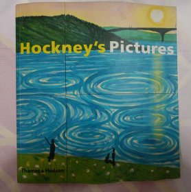 Hockney's Pictures(145—176页书脊有脱胶。请谨慎下单,售后不退,请勿议价,非诚勿扰。)塑柜四层