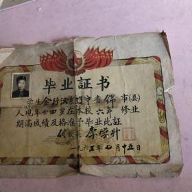 1965年锦县毕业证