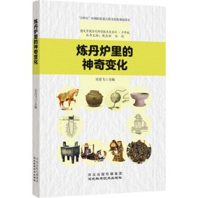 炼丹炉里的神奇变化 文教科普读物 吴育飞 新华正版