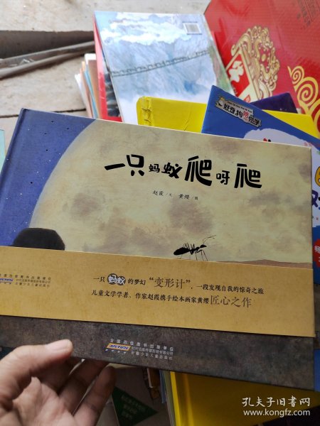 时代原创图画书：一只蚂蚁爬呀爬（一只小小蚂蚁的寻梦之旅蕴藏大大能量，为童年生命茁壮成长注入营养）